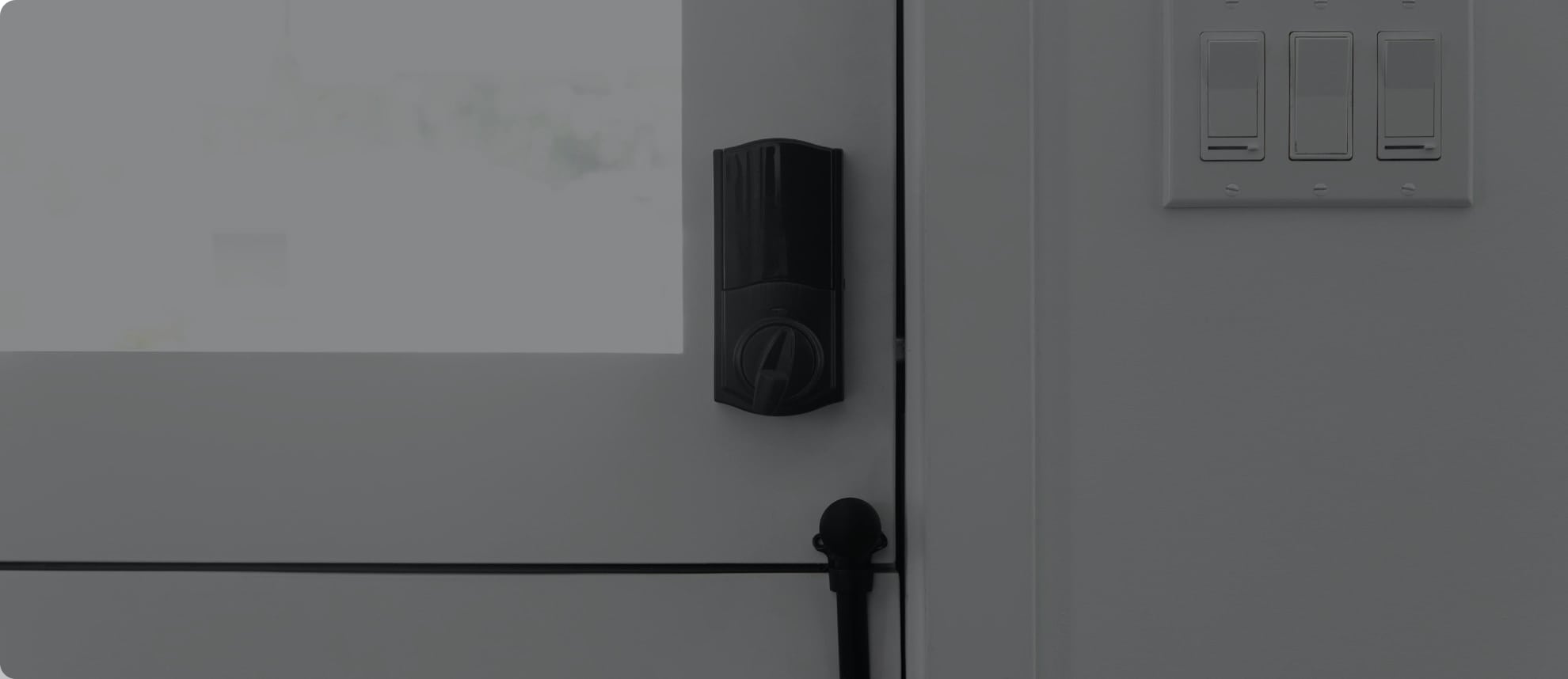 Vivint Smart Lock in Jackson